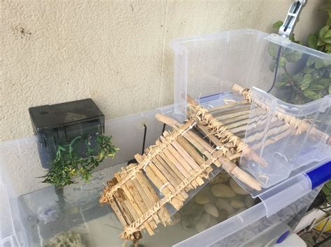 Diy Turtle Basking Area Made A New DIY Basking Platform Ramp For My