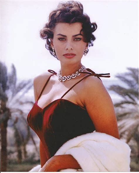 Young Sophia Loren In Sexy Dress 8x10 Photo At Amazons Entertainment