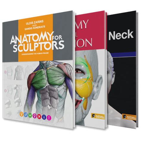 Anatomy For Sculptors Anatomy Book Series For Artists