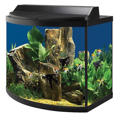 Aqueon 36 Gallon Deluxe Aquarium Kit Fish Starter Kits Petsmart