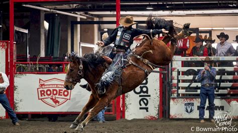 2022 Pro Rodeo Canada Champions Crowned Florodeo