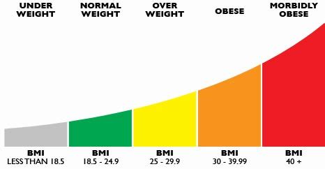 Maintaining A Healthy Body Max Index(BMI) : eDokita Health