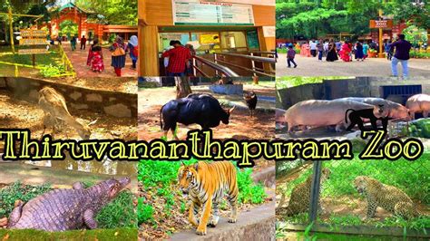 Trivandrum Zoothiruvananthapuram Zookerala Zoozoo In Kerala Youtube
