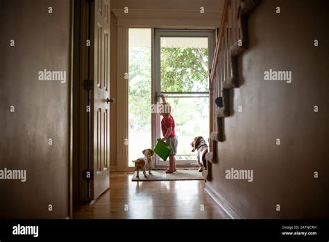 Letting The Dog Out Hi Res Stock Photography And Images Alamy