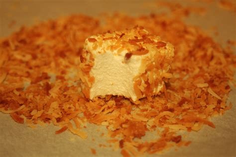 Julie Bakes Toasted Coconut Marshmallows