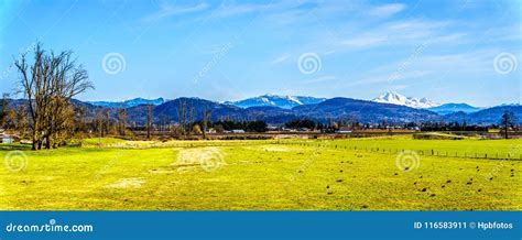 Panorama Of Farmland Near The Matsqui At The Towns Of Abbotsford And