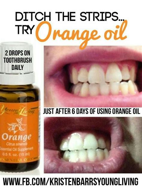 It is thought that orange trees are probably native to the tropical regions of asia, namely china where the fruit was used in many. 17 Best images about Orange Young Living on Pinterest ...