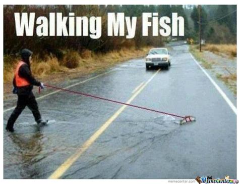24 Hilarious Fish Memes Proving You Can Be Funny Without ... 24 seriously funny pictures & memes!