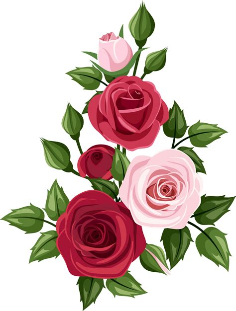 Rose Flower Vector Drawing Idalias Salon
