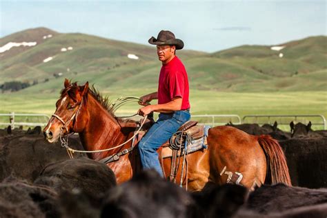 Photos Montana Cowboys And Cowgirls Montana News