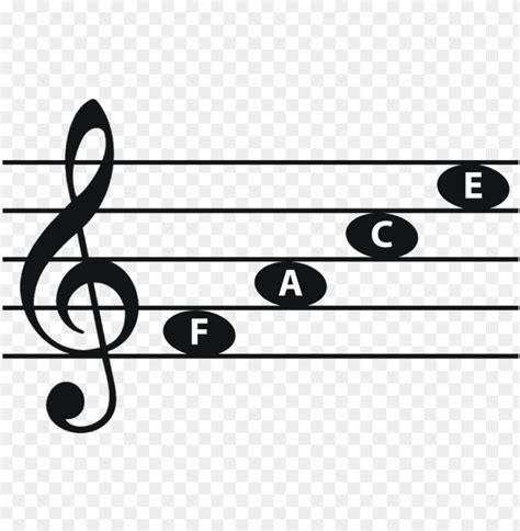 Treble Staff Line Notes Space Notes In Treble Clef Png Transparent