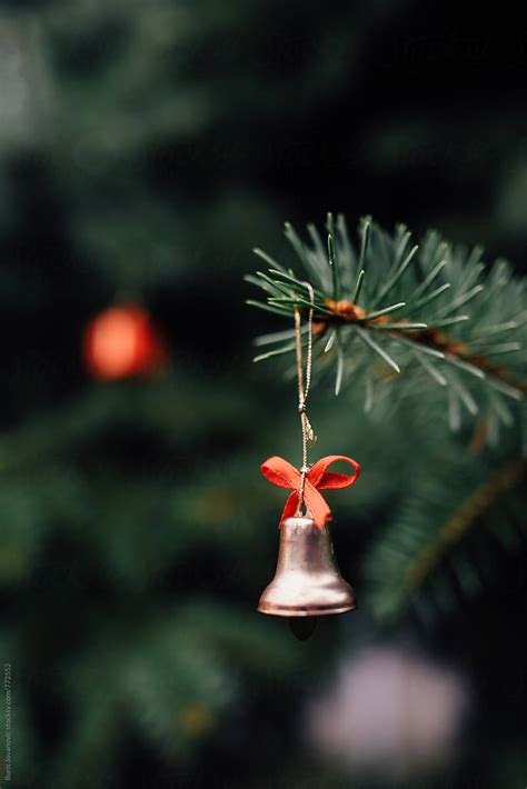 Close Up Of Christmas Decoration On The Outdoors Pine Tree By Stocksy