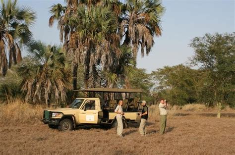 Mozambican Wildlife Safari Gorongosa Niassa Game Reserve
