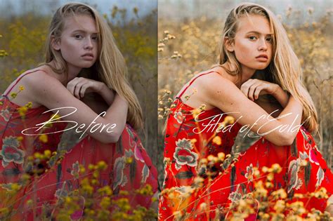 Pack of 15 presets and profiles that emulate the golden hour effect. Gail Bowman Golden Hour Lightroom Presets - FilterGrade ...
