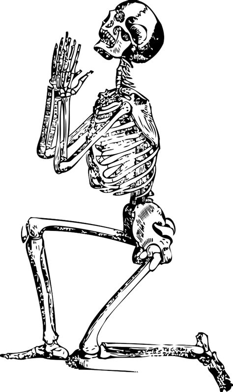 pictures skeleton   clip art  clip