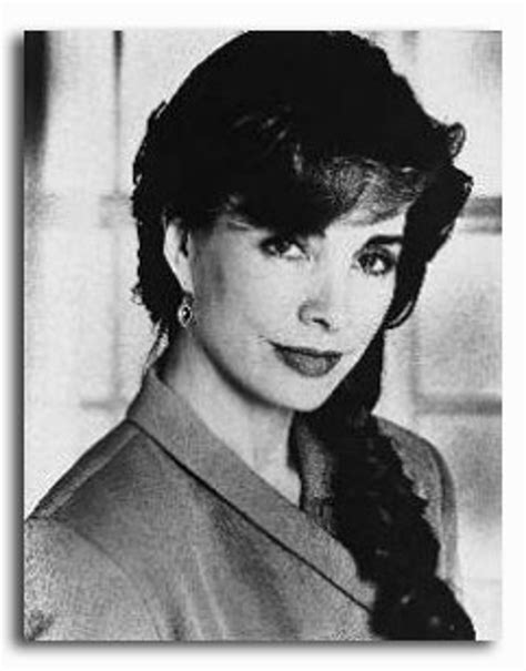 Ss2224053 Movie Picture Of Anne Archer Buy Celebrity Photos And