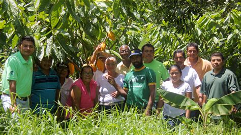 Indigenous Forest Conservation Through Belizes First Agro Forestry