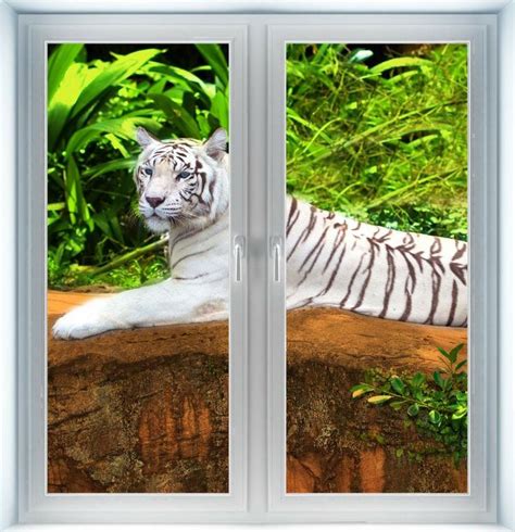White Tiger Instant Window White Tiger Tiger Wall Art