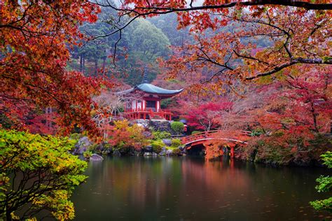 Autumn Japanese Garden