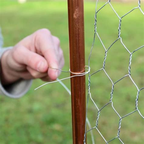 Diy How To Make A Garden Trellis Using Chicken Wire In 2021 Chicken
