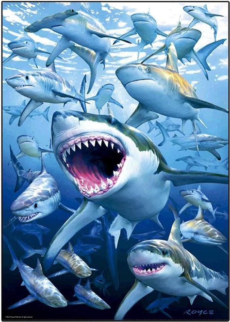 Top 9 Diamond Painting Shark Home Previews
