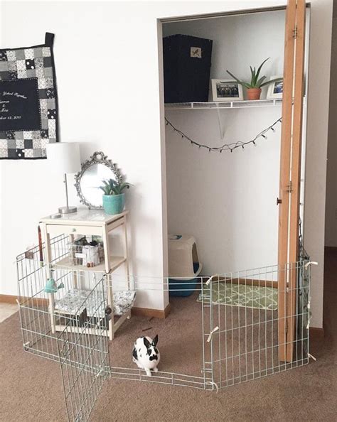 Diy Indoor Rabbit Cage Diy Bunny Cage Bunny Room Indoor Rabbit If