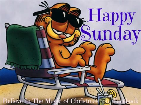 Garfields Happy Sunday Hello Frases Garfield Garfield Quotes