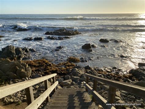 Weekend Adventures Update Cambria Moonstone Beach Drive Things To Do