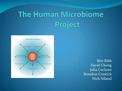 Ppt The Human Microbiome Project Powerpoint Presentation Free
