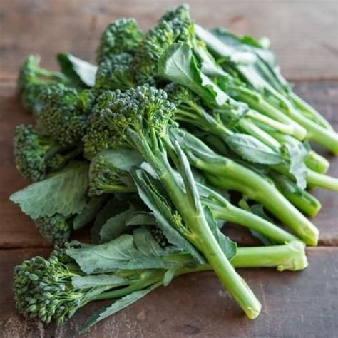 Where To Buy Broccolini Seeds Sheron Whittington