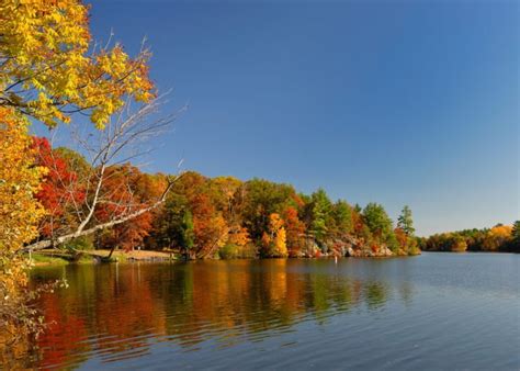 10 Wisconsin Drives For Maximum Fall Foliage Viewing