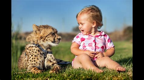 Cheetahs Best Friends With Children Youtube