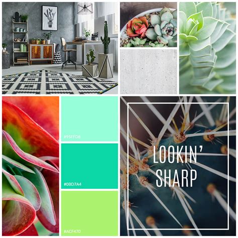 A mood board can be a great way to brainstorm, get inspired, and provide a visual point of reference to stay on task. Learn how to make a brand moodboard with PicMonkey's ...