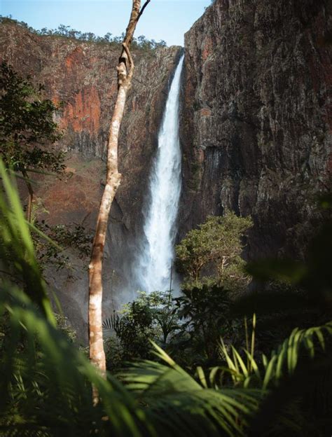 Wallaman Falls Queensland Guide To Visiting The Tallest Waterfall In Austalia We Seek