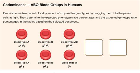 Solved Codominance Abo Blood Groups In Humans Please Chegg Com