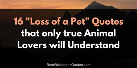 However, some people fail to realize that the loss of a pet can be just as emotionally traumatic as losing a family member for some people. loss of a pet quotes