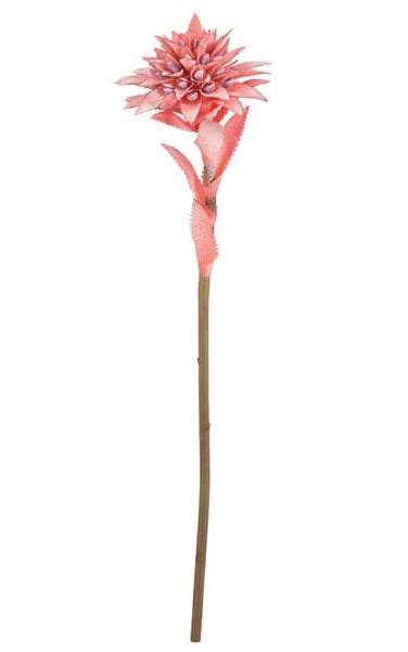 There is a general rule that you can follow if you are unsure what kind of bromeliad you are caring for. Earthflora > Artificial Flowering Collection > 22 ...