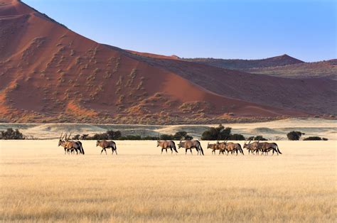 Namibia Hills Of Africa