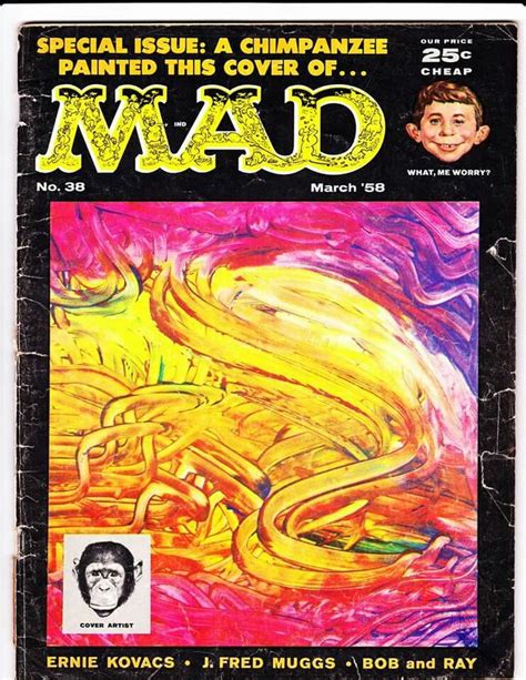 Pin By Jerry Piotrowski On Mad Magazine Mad Magazine Mad American