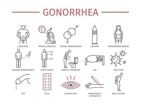 Gonorrhea As A Communicable Disease Symptoms Transmission