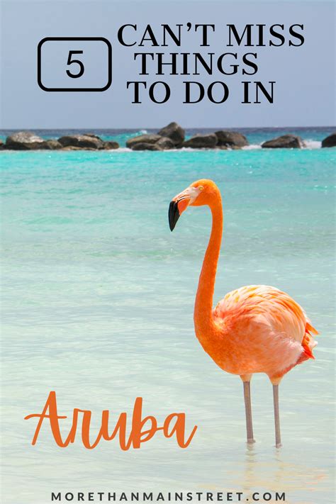 Top 5 Things To Do In Aruba With Kids More Than Main Street In 2021