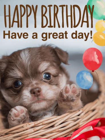 You were such a good boy. Much Love! Animal Happy Birthday Card | Birthday & Greeting Cards by Davia