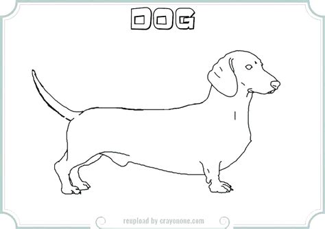 Dachshund Puppy Coloring Pages At Getdrawings Free Download