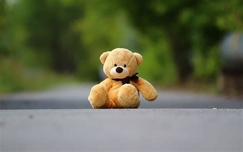 Discover More Than 156 Teddy Bear 4k Wallpaper Latest Vn