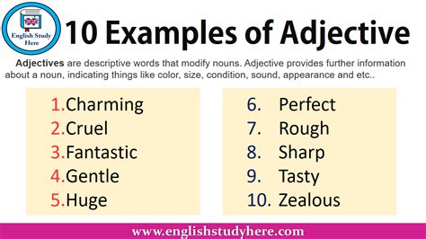 Examples Of Adjective English Study Here