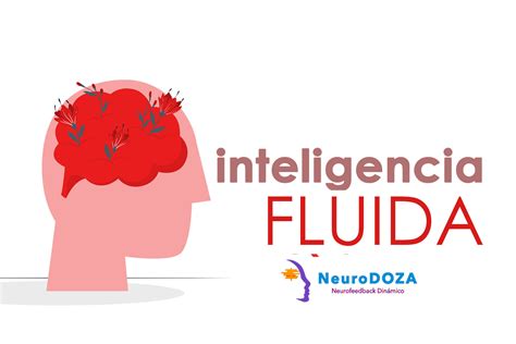 Cómo Potencializar La Inteligencia Fluida Neurodoza