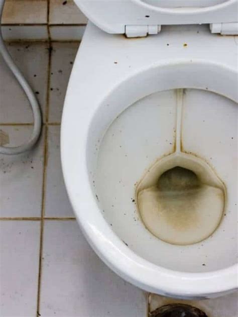 Fix Brown Toilet Water 8 Causes Story Water Filter Guru