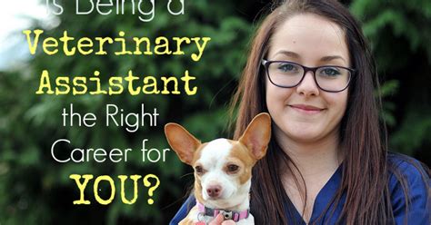 Veterinary assistants help take care of animals in animal clinics and hospitals, and on farms. Is Being a Veterinary Assistant the Right Career for You ...