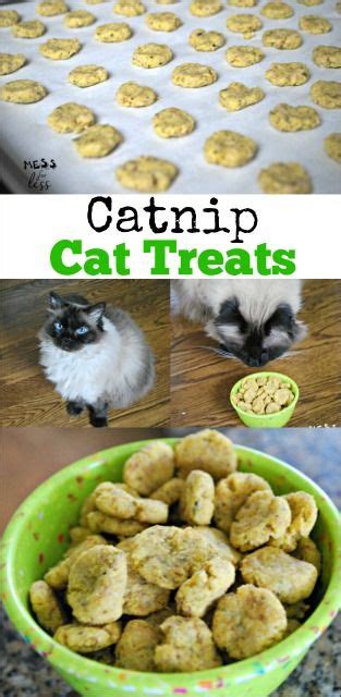 Bean sauce chicken (sort of), homemade baby food, gourmet delight, etc. This catnip cat treats recipe is a hit with out cat. Easy ...