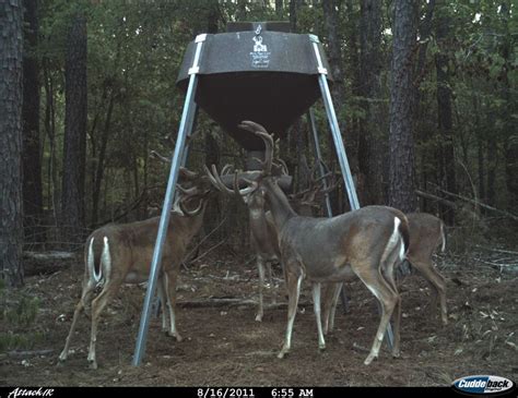 Boss Buck 600 Protein Feeder Pictures Deer Feeders Deer Blind Feeder